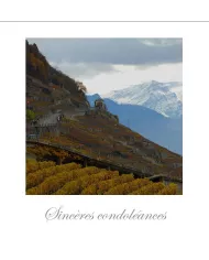 Cartes Condoléances Lavaux - 82-42