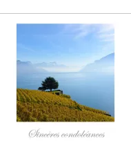 Cartes Condoléances Lavaux - 4221-42