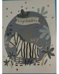Carte A4 Baby Boy