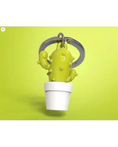 Porte clés Cactus Vert