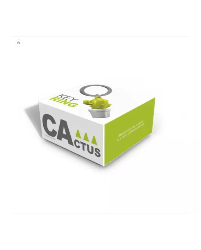 Porte clés Cactus Vert