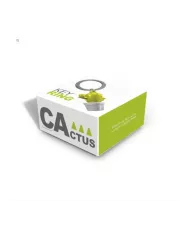 Porte clés Cactus Vert