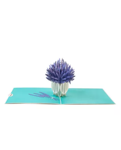 Carte "3D" Lavande