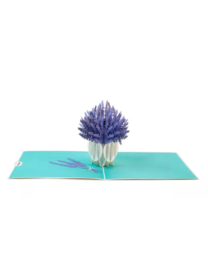 Carte "3D" Lavande