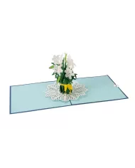 Carte "3D" Lys