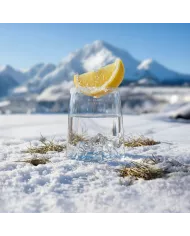 Coffret de 4 shooters TOPOGRAPHIC