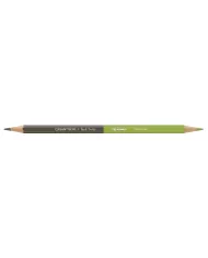 Set 12 Crayons de Couleur Bicolor & 1 Pinceau Caran d'Ache + Paul Smith