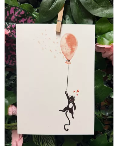 Carte B6 - Chat ballon