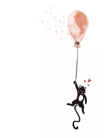 Carte B6 - Chat ballon