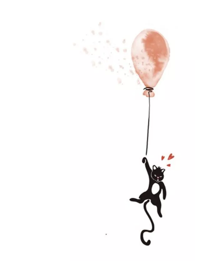 Carte B6 - Chat ballon