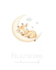 Carte A4 - Naissance Girafe - Fille