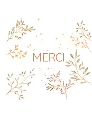 Carte B6 - Jumeaux - Garçon