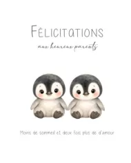 Carte A4 - Naissance Jumeaux