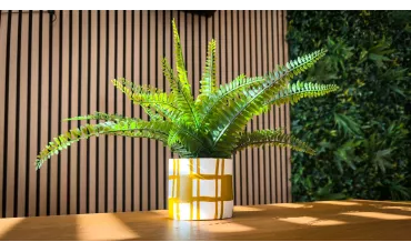 Comment faire un pot de plantes en argile naturelle chez soi